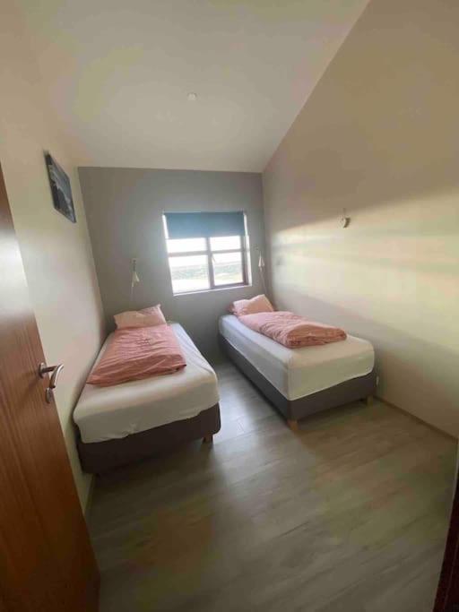 Eaglerock Guesthouse And Tours Kirkjubæjarklaustur エクステリア 写真